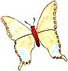 Butterfly illustration.